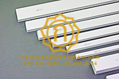 Wire Way For Decoration : รางเก็บสายไฟสีขาว สำหรับงานตกแต่ง (PRI Type DD)